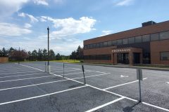 promaxis-after-scaled