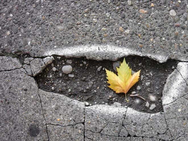 Pothole Repairs Ottawa